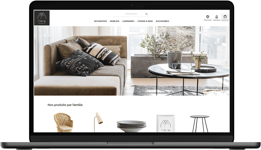 Création site e-commerce Grenoble