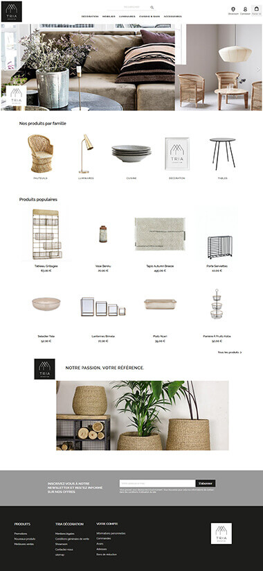 Exemple création site e-commerce Grenoble