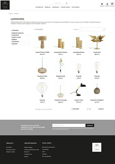 Exemple création site e-commerce Grenoble