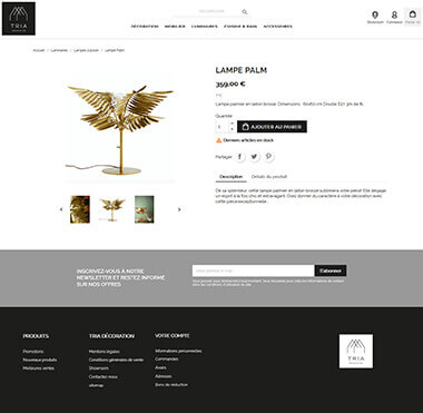 Exemple création site e-commerce Grenoble