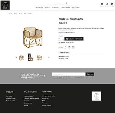 Exemple création site e-commerce Grenoble